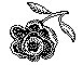 ROSE.PCX
