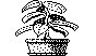 PLANT.PCX