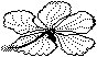 HIBISCUS.PCX