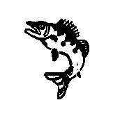 JFISH2.TIF