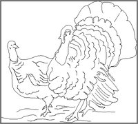 TURK01.GIF