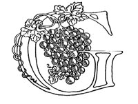 G.BMP
