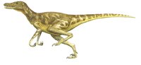 VELOCIRA.BMP