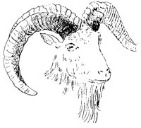 URIAL6Q0.BMP