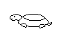 TURTLE1.BMP