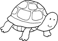 TURT01.BMP
