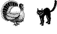 TRKY_CAT.BMP