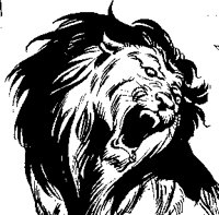 TIJGER10.BMP