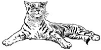 TIGERCI9.BMP