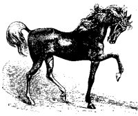 STRUT4FE.BMP