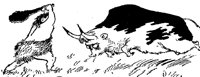 STIER.BMP