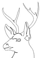 STAG_7N2.BMP