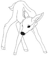 SPRFAWN.BMP