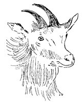 SEROW6Q6.BMP