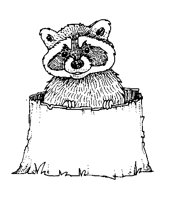 RACCOON.BMP