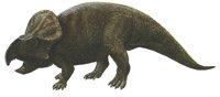 PROTOC.BMP