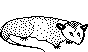 POSSUM.BMP