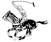 POLO1.BMP
