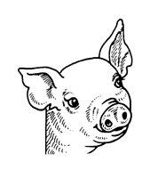 PIGLET.BMP