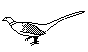 PHEASANT.BMP