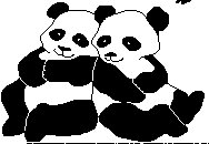 PANDAS.BMP