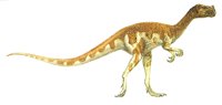 OVIRAPT.BMP
