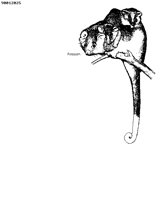 OPOSSUM.BMP