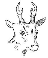 MUNTJ6Q2.BMP