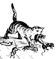 MOUSE3O6.BMP