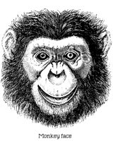 MONKEYFA.BMP