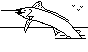 MARLIN.BMP