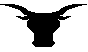 LONGHORN.BMP