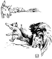 LIONCP4.BMP