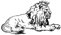 LIONCI0.BMP