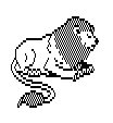 LION1.BMP