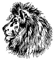 LION07.BMP