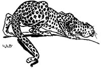 LEPRDBQ4.BMP