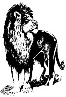 LEEUW5.BMP