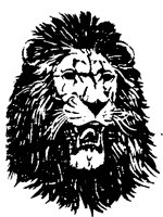 LEEUW.BMP