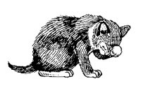 KITTEN.BMP