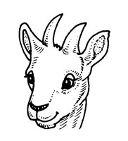 KIDGOAT.BMP