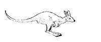 KANGAROO.BMP