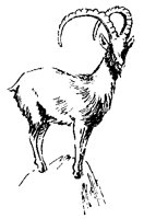 IBEX_6P9.BMP