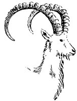 IBEX_6P8.BMP