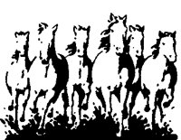 HORSES04.BMP
