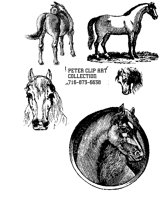 HORSES.BMP