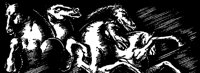 HORSE8EC.BMP