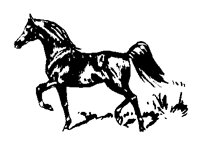 HORSE76.BMP