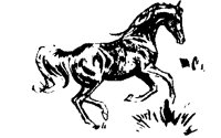 HORSE75.BMP
