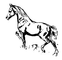 HORSE72.BMP